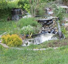 A Pond To Your Garden
