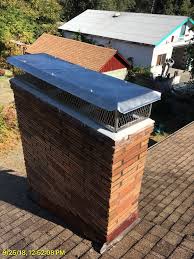 Squirrel In Chimney Removal In Portland