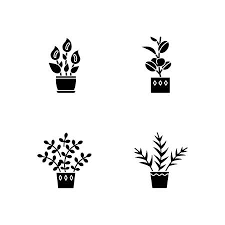 Indoor Plants Black Glyph Icons Set On