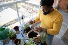 How To Plan A Vegetable Garden For Even