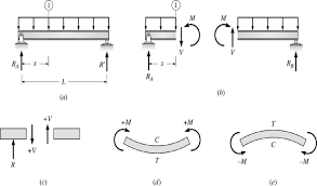 scientific diagram