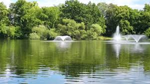Fountains In The Pond With Green Trees