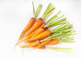 Page 2 7 000 Carrot Flat Icon Pictures
