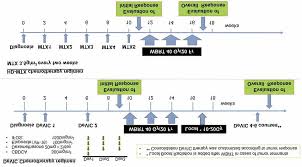 schema of devic and hd mtx chemotherapy