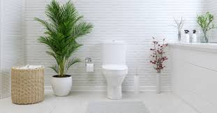 Round Vs Elongated Toilet Seats 1
