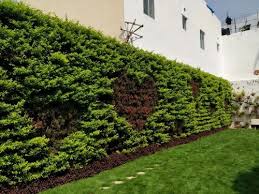 Artificial Grass Wall Garden For Home