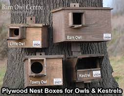 Barn Owl Nest Box Plans Able