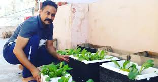 Grow 150 Veggies Fruits In Terrace