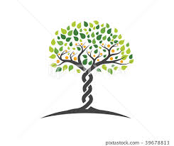 Family Tree Symbol Icon Logo Stock
