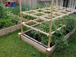 Raised Bed Tomato Trellis Compost