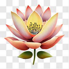Pink Lotus Flower Symbol Of