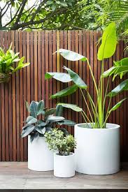 41 Best Plant Pots And Planters For