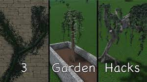 3 S To Improve Your Garden