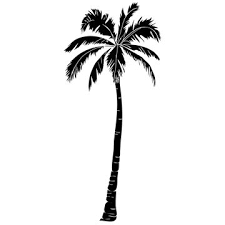 Palm Tree Stencil Images Browse 3 305