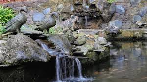 A Rocky Pond With A Mini Waterfall With