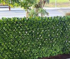 Artificial Hedge Tiles Green Walls And