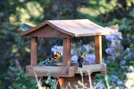 Make Your Own Fly Thru Bird Feeders
