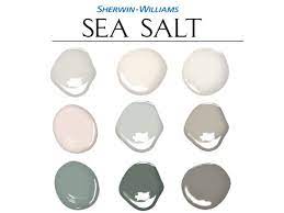 Sherwin Williams Sea Salt Color Palette