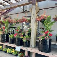 Sunnyside Gardens Updated June 2025
