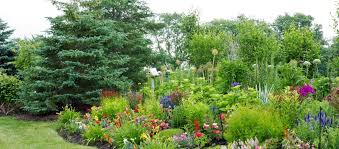 Garden Design Plan For Year Round Color