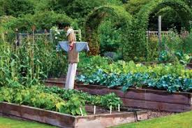 Vegetable Garden Ideas Designs And