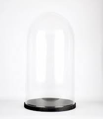 Circular Glass Display Cloche Bell Dome