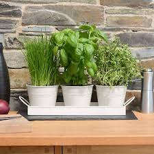 Kitchen Windowsill Metal Herb Pots With
