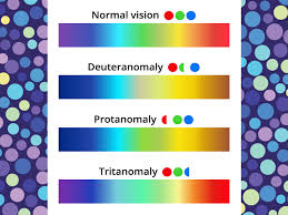 Color Blind Friendly Home Paint Guide