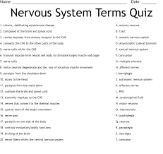 Nervous System Terms Quiz Worksheet