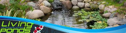 Aquascapes Water Feature Kits