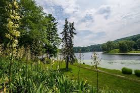 Curator S Tour Innisfree Garden