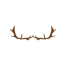 Antler Drawing Png Vector Psd And