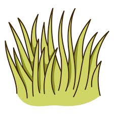Garden Grass Icon Png Svg Design For