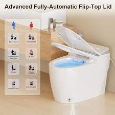 Simple Project Tankless Elongated Single Flush Smart Toilet Bidet With Auto Flush Heated Seat Warm Air Dryer In White