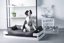 Orthopedic Dog Bed With White Wooden