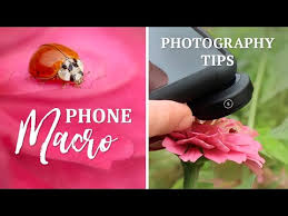 Phone Macro Photography