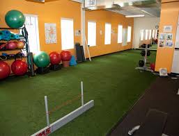 Gym Turf Indoor Outdoor Fitness