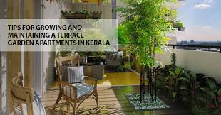 Apartments Terrace Garden In Kerala