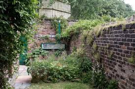 Overgrown Garden Is Unrecognisable