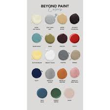 Beyond Paint Matte Bone Acrylic All In One Paint 1 Pt