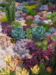 Succulent Gardens Landscaping Ideas