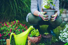 Green Thumbs Advised To Start Gardening
