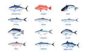 Fish Species Images Browse 84 701