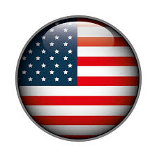Premium Vector Icon Flag On Usa