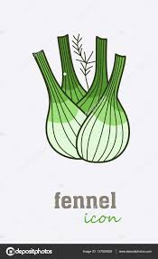 Fennel Vector Icon Vegetable Green