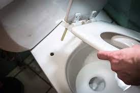 How To Replace A Toilet Seat Toiletology