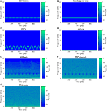 10 Hz Amplitude Modulated Sounds