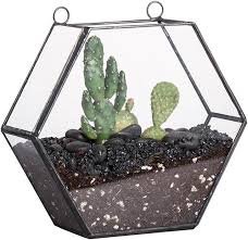 Plant Holder Display Container Box