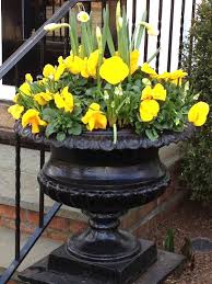 Spring Planter Container Gardening