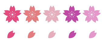 Cherry Blossom Icon Set Petals And